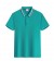 【晶輝】HM2199-高效抗UV永久抗菌配色素面POLO衫、公司制服、班服